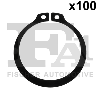 Seal Ring - 743.520.100 FA1