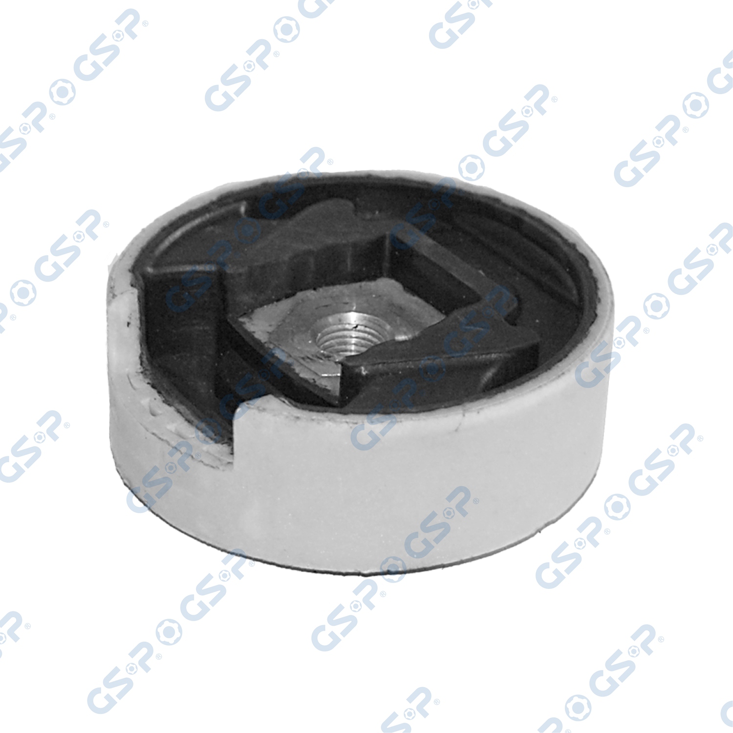 Sospensione, Motore - 516544 GSP