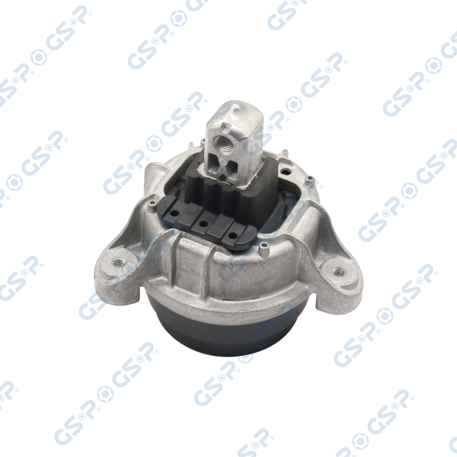 Sospensione, Motore - 532470 GSP