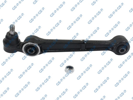 Track Control Arm - S060613 GSP