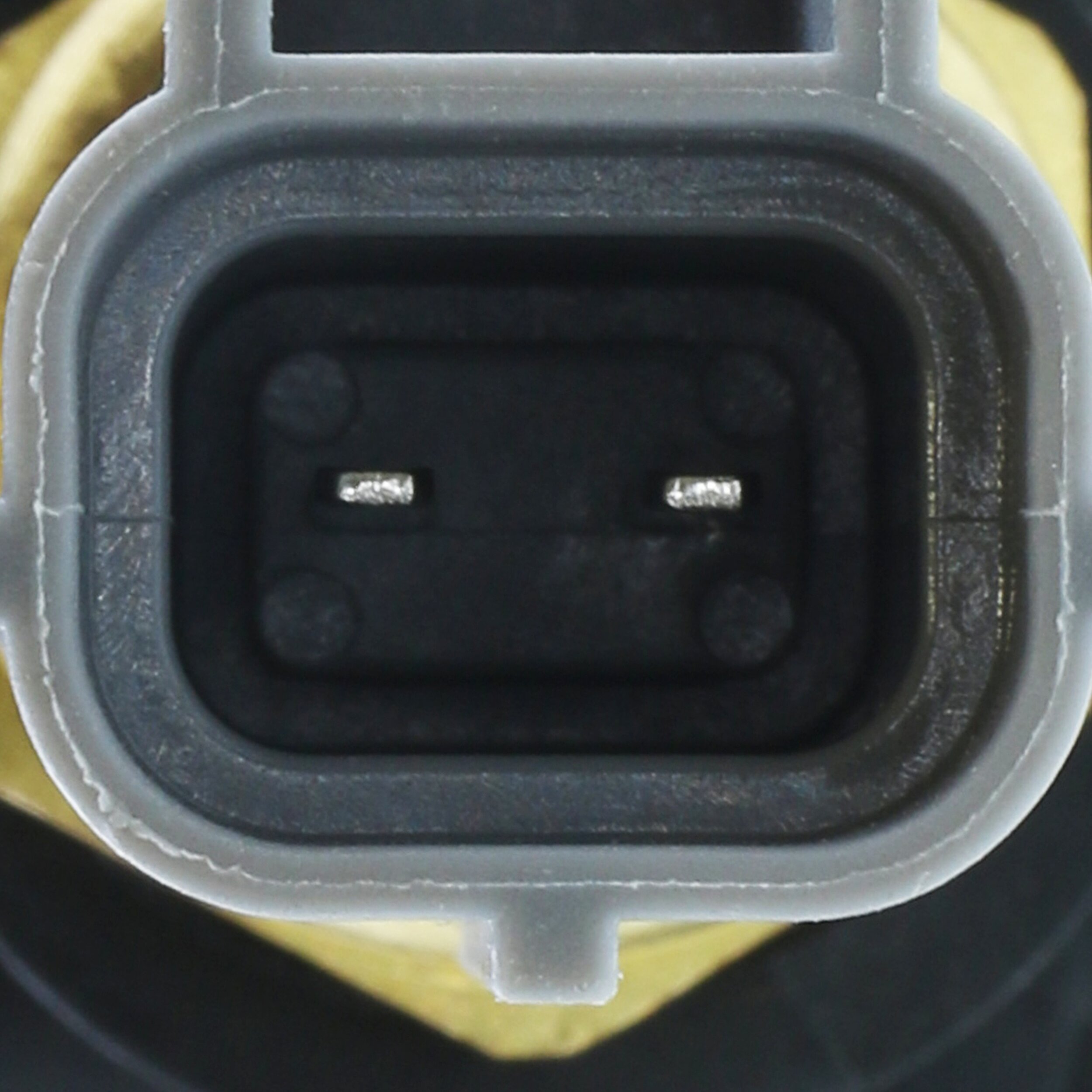 Coolant Flange - CH2690 MOTORAD