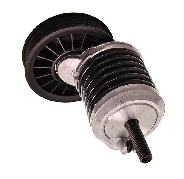 Tendicinghia, Cinghia Poly-V - 54-0051 MAXGEAR