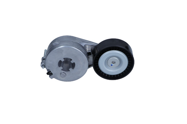 Tendicinghia, Cinghia Poly-V - 54-1606 MAXGEAR