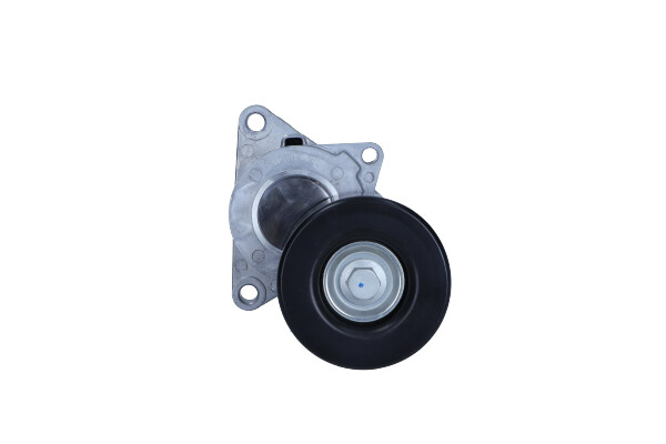 Tendicinghia, Cinghia Poly-V - 54-1613 MAXGEAR
