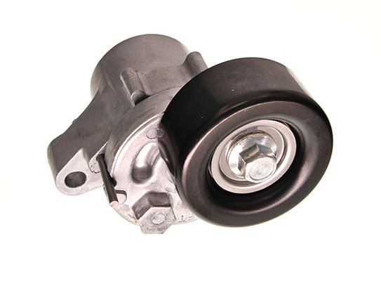 Tendicinghia, Cinghia Poly-V - 54-1630 MAXGEAR
