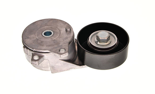 Tendicinghia, Cinghia Poly-V - 54-1631 MAXGEAR