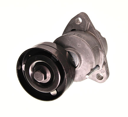 Tendicinghia, Cinghia Poly-V - 54-0036 MAXGEAR