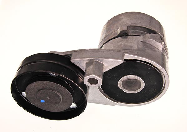 Tendicinghia, Cinghia Poly-V - 54-0058 MAXGEAR