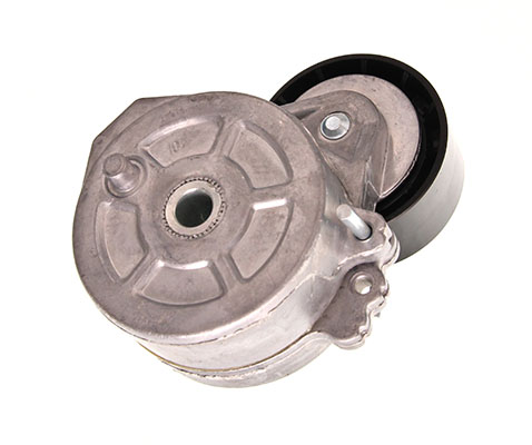 Натяжитель ремня, клиновой зубча - 54-0029 MAXGEAR