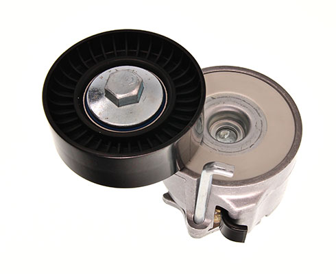 Tendicinghia, Cinghia Poly-V - 54-0562 MAXGEAR