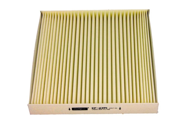 Filter, interior air - 26-0865 MAXGEAR