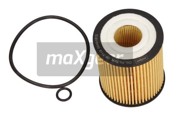 Oil Filter - 26-0893 MAXGEAR