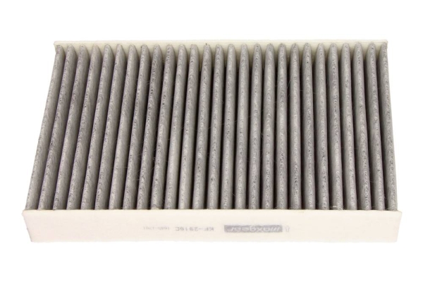 Filter, interior air - 26-1021 MAXGEAR