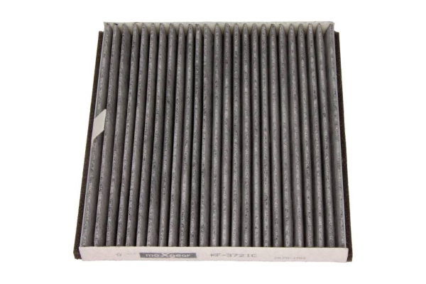 filtras, salono oras - 26-1022 MAXGEAR