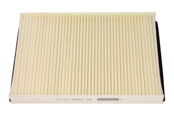 Filter, interior air - 26-1043 MAXGEAR