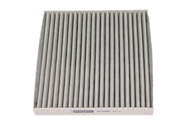 Filter, interior air - 26-1069 MAXGEAR