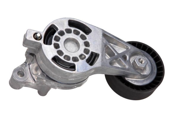 Tendicinghia, Cinghia Poly-V - 54-0555 MAXGEAR