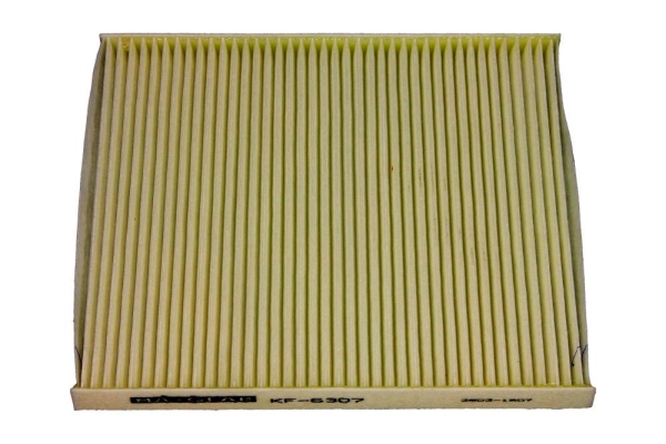 filtras, salono oras - 26-0551 MAXGEAR