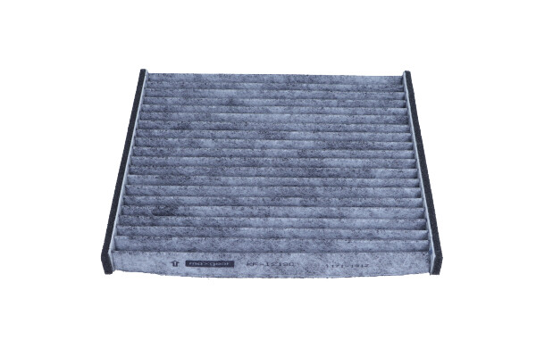 Filter, interior air - 26-1619 MAXGEAR
