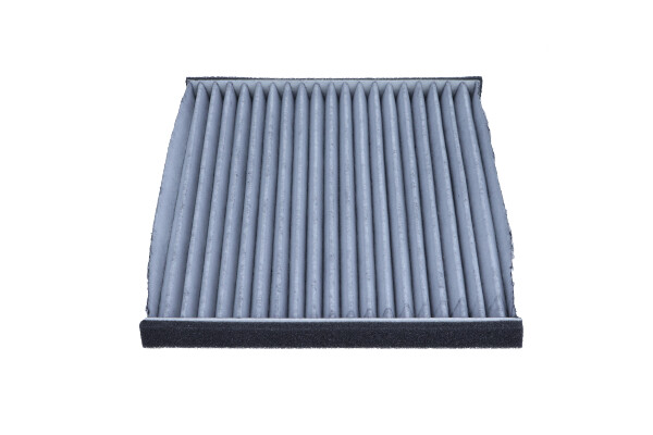 Filter, interior air - 26-1619 MAXGEAR