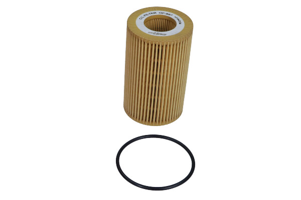 Filtro olio - 26-2031 MAXGEAR