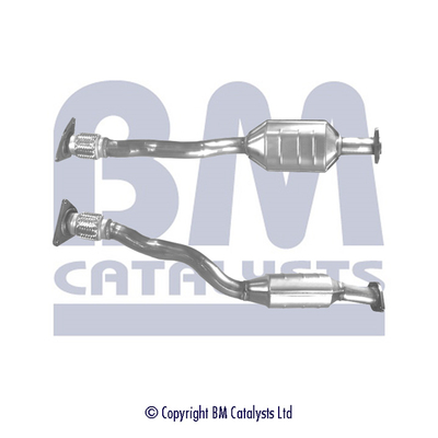 Catalizzatore - BM80133H BM CATALYSTS