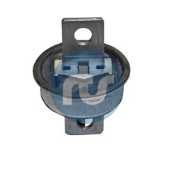 Control Arm-/Trailing Arm Bush - 017-00593 RTS