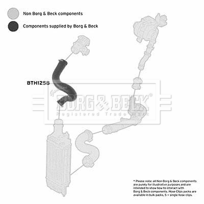 Charger Air Hose - BTH1258 BORG & BECK
