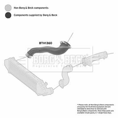 Charger Air Hose - BTH1360 BORG & BECK