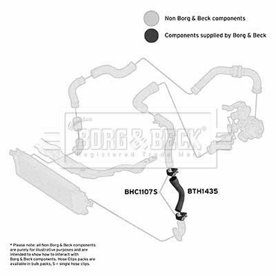 Flessibile aria alimentazione - BTH1435 BORG & BECK