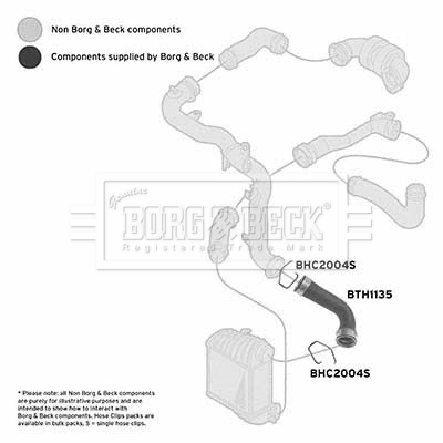 Charger Air Hose - BTH1135 BORG & BECK