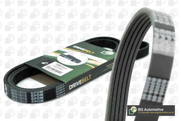 Cinghia Poly-V - 5PK1110 BGA