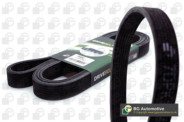 V-Ribbed Belt - 7DPK1884 BGA