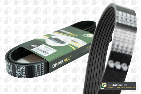 V-Ribbed Belt - 7PK1705 BGA