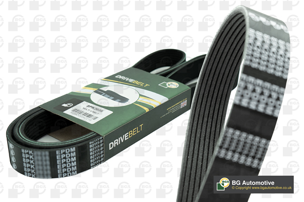Cinghia Poly-V - 8PK1395 BGA