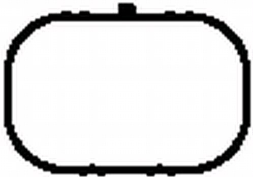 Gasket, intake manifold - AH4555 BGA