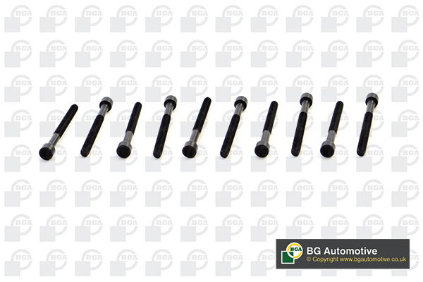 Bolt Kit, cylinder head - BK0105 BGA