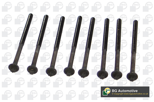 Bolt Kit, cylinder head - BK3327 BGA