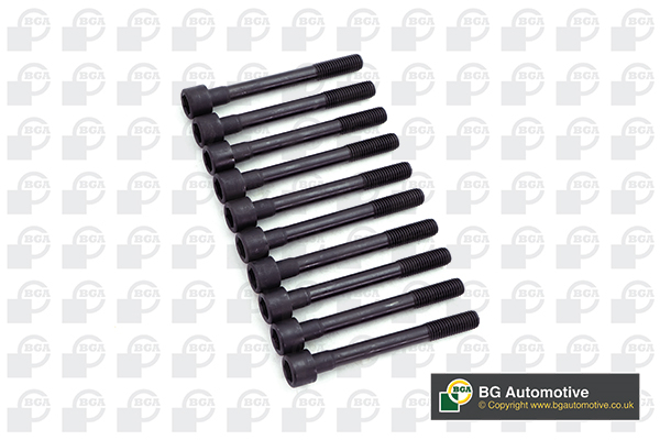 Bolt Kit, cylinder head - BK3398 BGA
