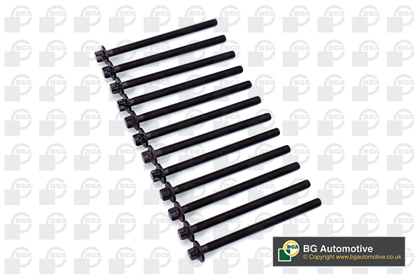 Bolt Kit, cylinder head - BK4305 BGA