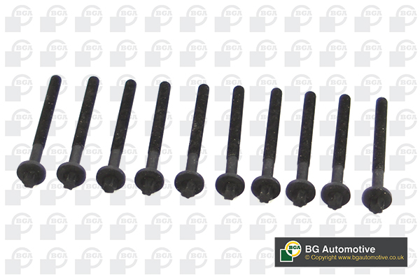 Bolt Kit, cylinder head - BK4316 BGA