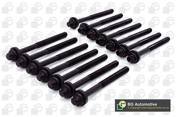 Bolt Kit, cylinder head - BK5316 BGA
