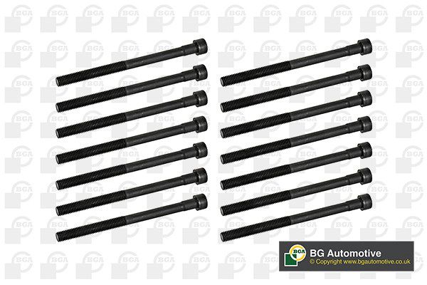 Bolt Kit, cylinder head - BK5364 BGA