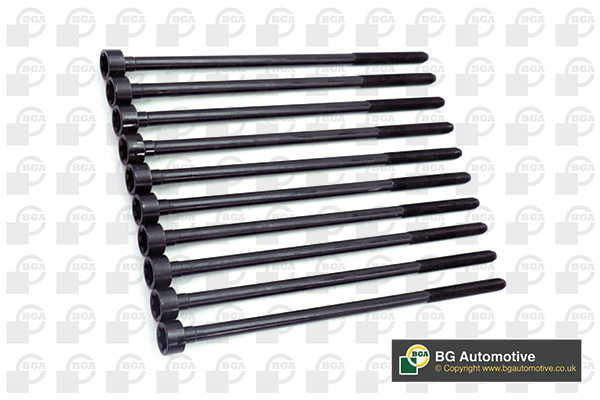 Bolt Kit, cylinder head - BK5385 BGA