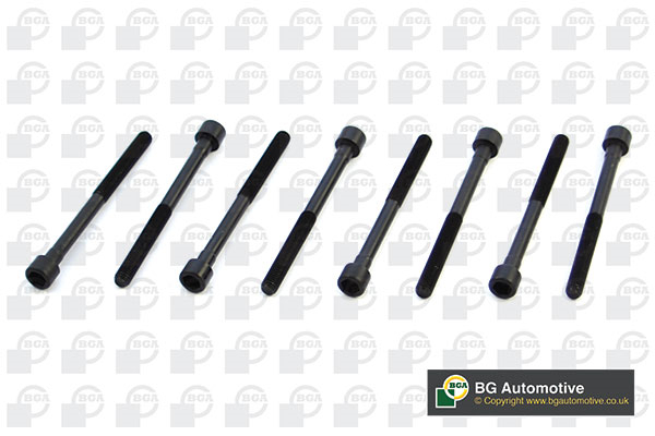 Bolt Kit, cylinder head - BK6301 BGA