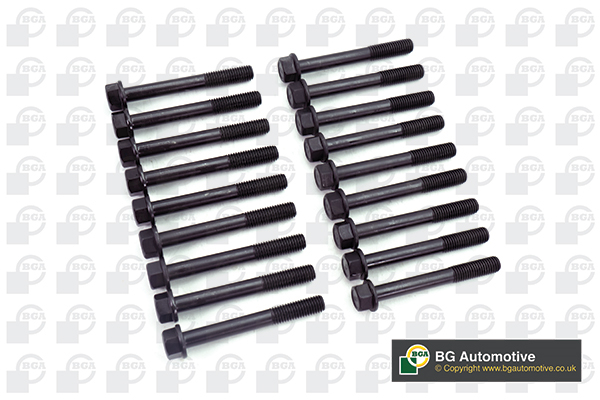 Bolt Kit, cylinder head - BK6313 BGA
