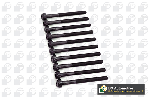 Bolt Kit, cylinder head - BK6385 BGA