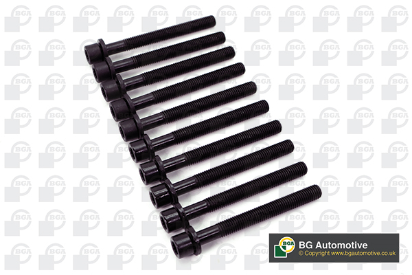 Bolt Kit, cylinder head - BK6393 BGA