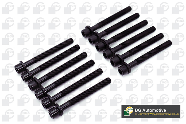 Bolt Kit, cylinder head - BK6397 BGA