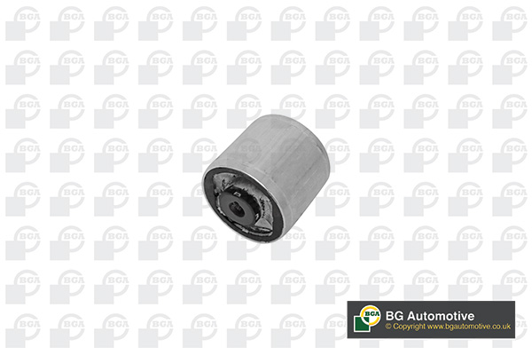 Control Arm-/Trailing Arm Bush - BU0133 BGA